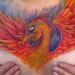 Tattoos - Pheonix rising from the ashes  color chestpiece girl chest tattoo - 59045